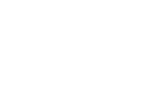 PYDIOSA Corte